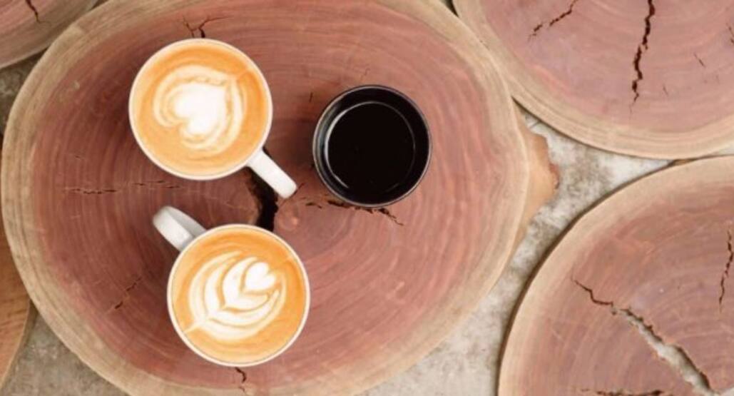 Motherland Coffee Company Rosebank Johannesburg